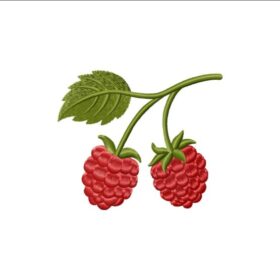Raspberry