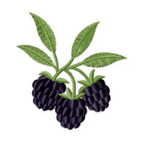 Blackberry
