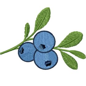 Blueberries