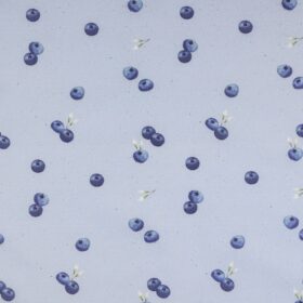 Blueberries